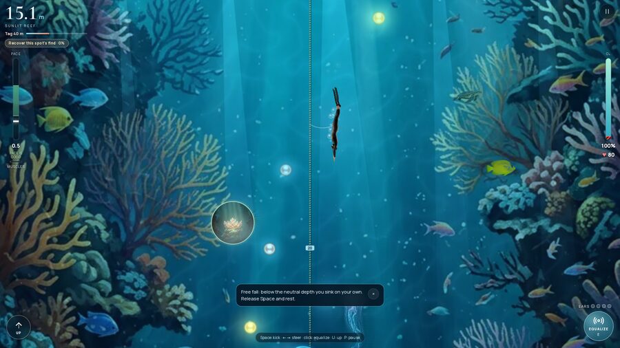 Down along the reef: keep the pace in the green corridor